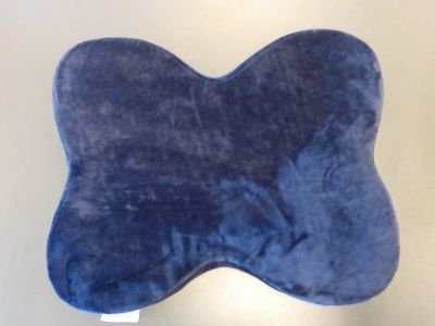 blue butterfly shaped cushion